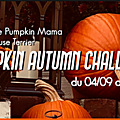 Pal | pumpkin autumn challenge 2022