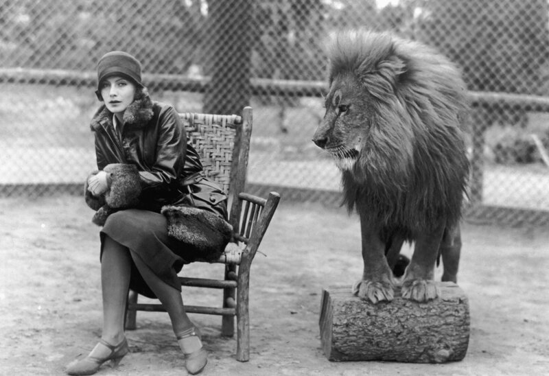 Garbo et le lion