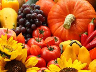01392471311automne[1]