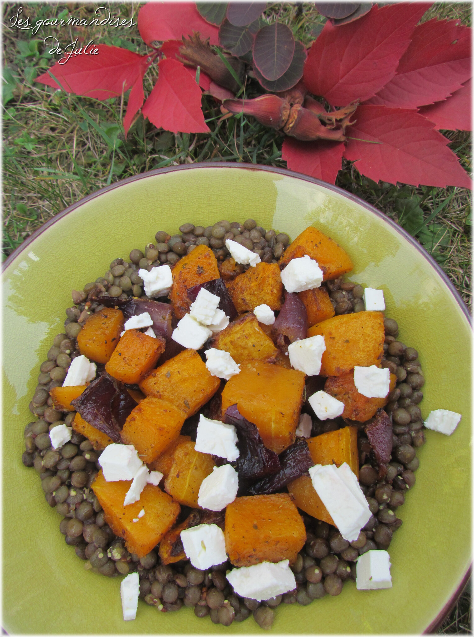 Salade Tiede De Lentilles Courge Butternut Et Oignons Rouges