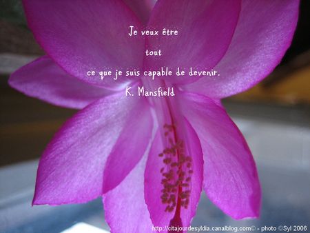 2011_E_DEVE