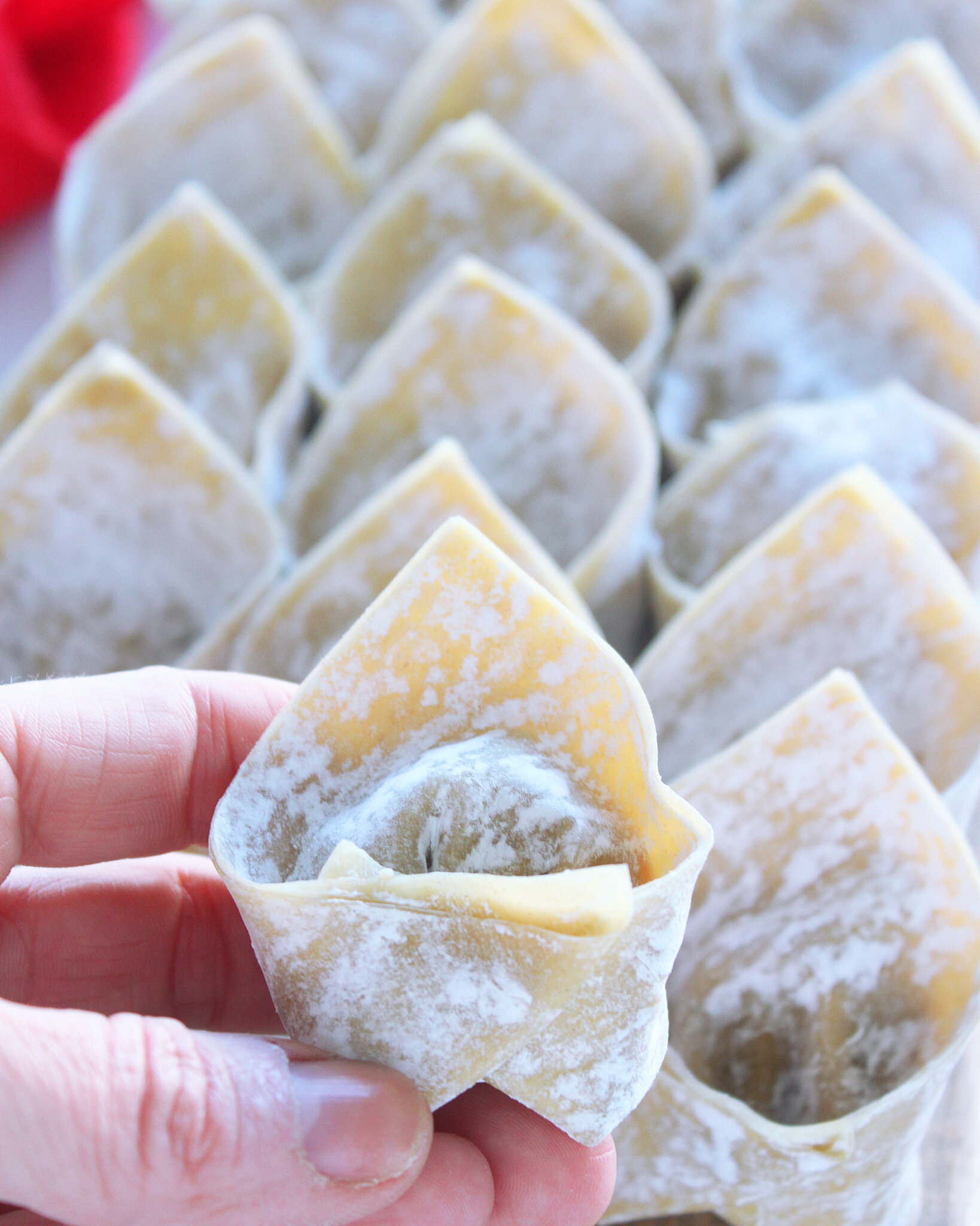 Bouillon Asiatique aux Won Ton (Veggie) Culinaware recettes