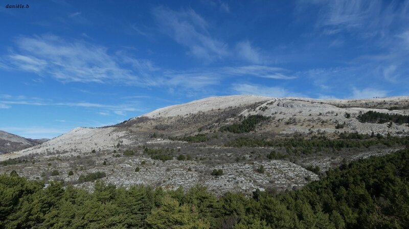 P1080304 (2)