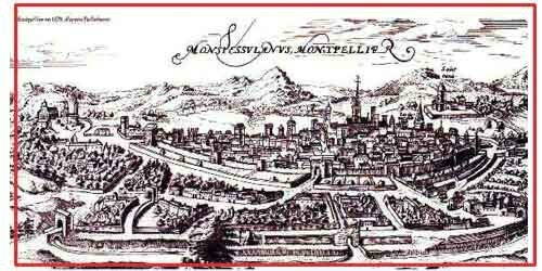 Montpellier 985