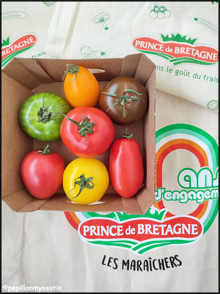 Sauce tomates maison  Recette Prince de Bretagne