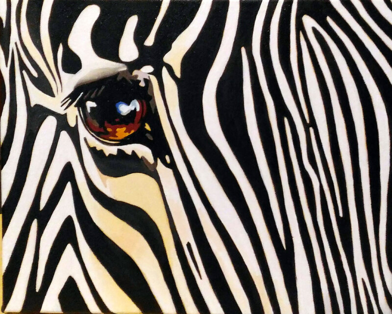 zebra