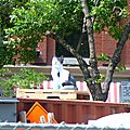 Toronto Downtown AG (262).JPG