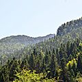 Prairies et sapinières de Barlagne