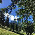 IMG_7777