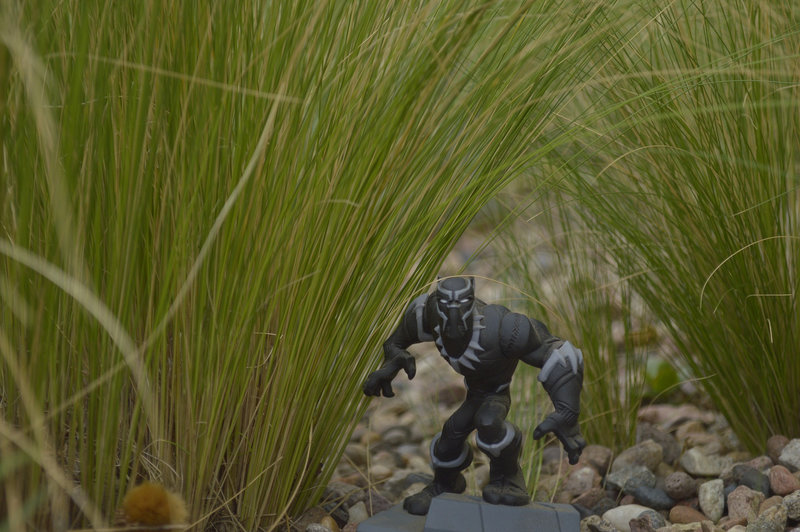 Une figurine de Black Panther en pleine nature
