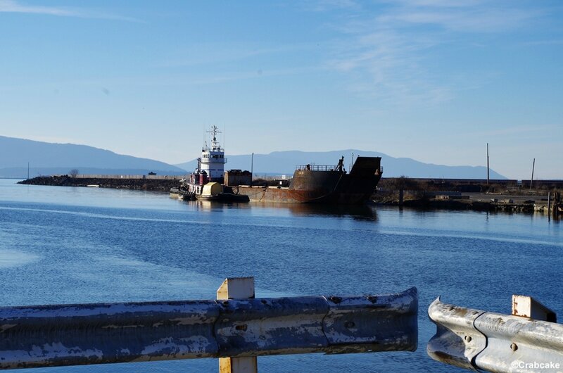 Bellingham Port 2