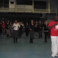 rock (18)