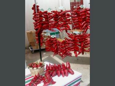 fete-piment-84-5_w800