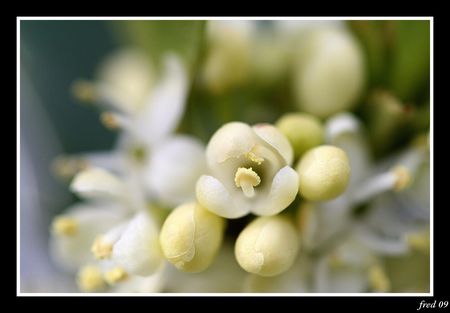 IMG_8499_sign_e