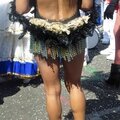 Mon truc en plumes au carnaval de nantes le 12 avril 2015 (3)