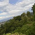 _DSC0688