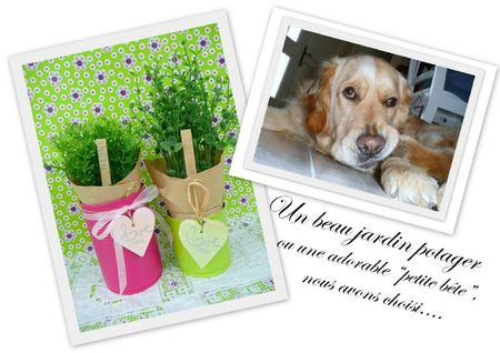 Montages