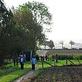 IMGP0372