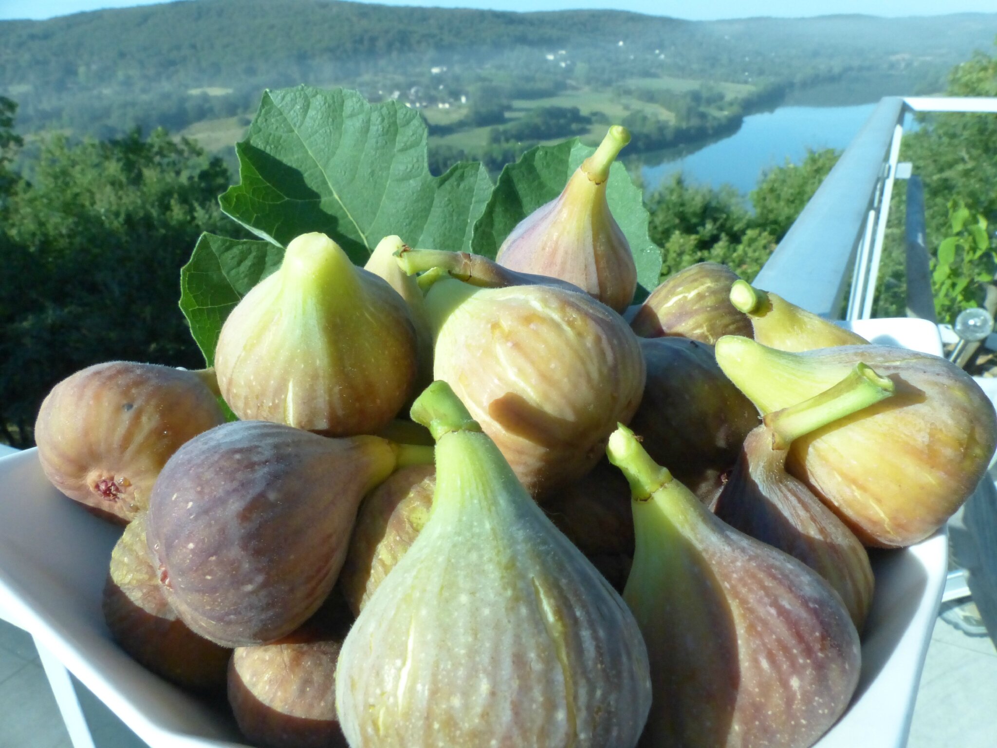 Confit de figues au vinaigre balsamique - Apéro provençal