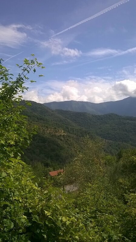 Vista dal campo 2