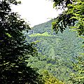 Escarpements et crêtes du bois Souriguères...