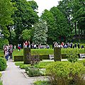 IMGP3947