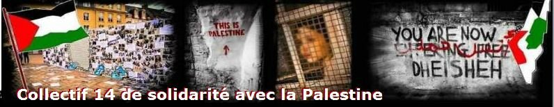 coll14-palestine