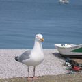Passion photographie