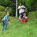 P1250658 (Copier)