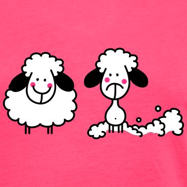 De l&#39;art de tondre un mouton... ou comment faire des économies familiales!  - Les frasques d&#39;une Fouine, maman de deux petits Furets!