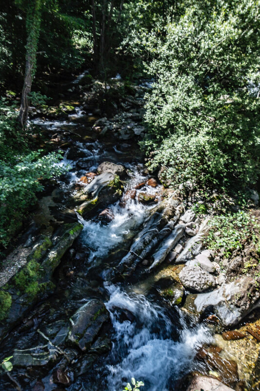 16082019-_MG_5516