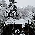 Paysages du Béarn sous la neige, le 13 mars 2013...