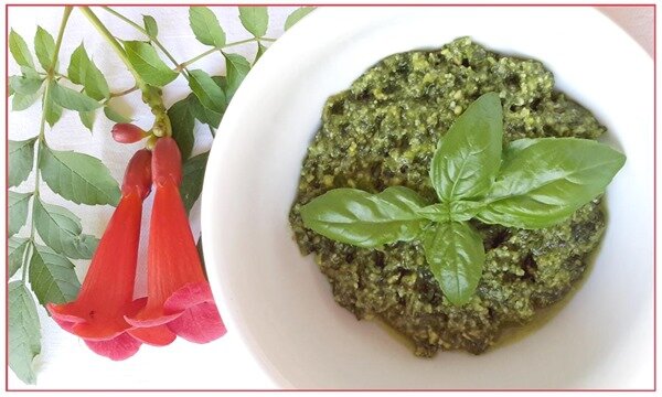 pesto au thermomix12 pesto au thermomix12