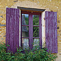 5-violet