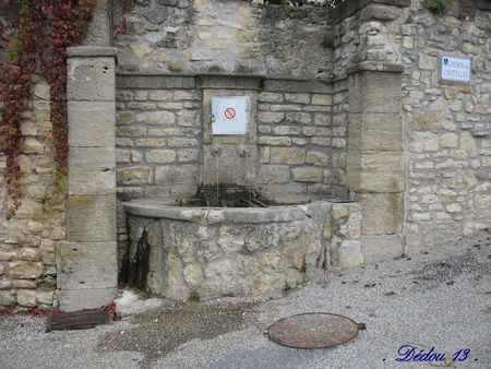 Photo_244