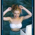Calendrier vintage norma jeane 2010