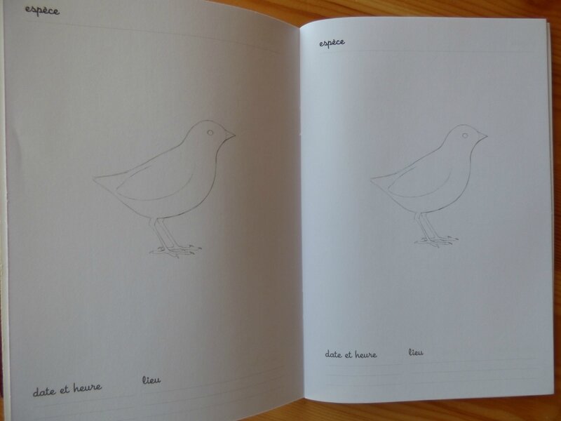 Coffret Montessori oiseaux (4)