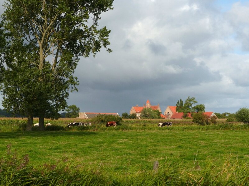 P1310470-001