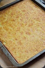 Farinata-5