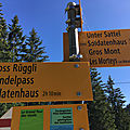 IMG_7779