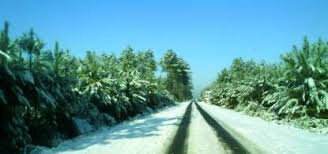 Photo-route-de-Bouheyben-escource-hiver