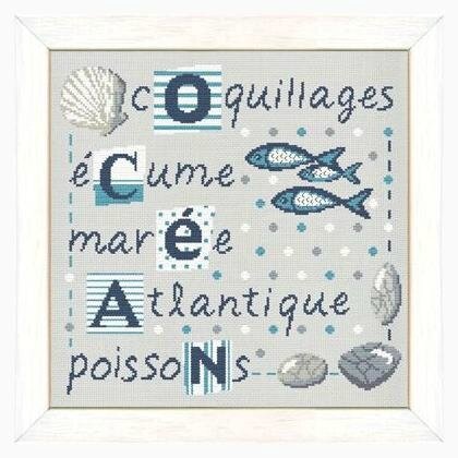 les coquillages A012