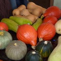 X) Mon jardin, automne 2009