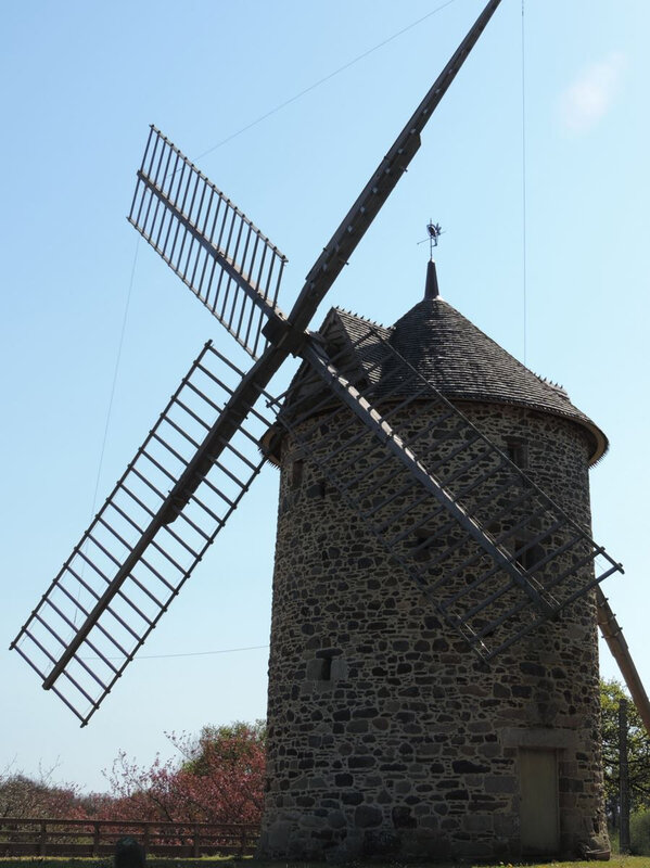 _copie-0_DSCN8769