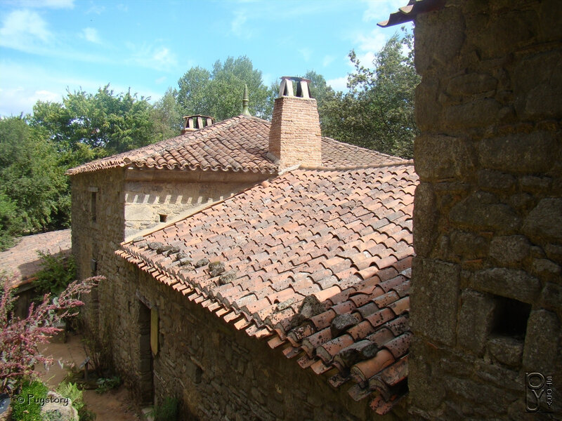 DSC04576