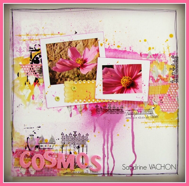2 - mes cosmos - 1