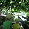 On aime y aller : le jardin d'acclimatation