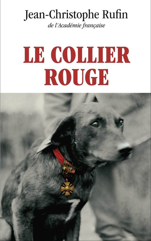 Le collier rouge de Jean-Christophe Rufin - D'un livre à l'autre