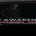 the awakening 1990