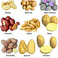 Tableau de conversion des levures - Gourmandises sucrées ou salées